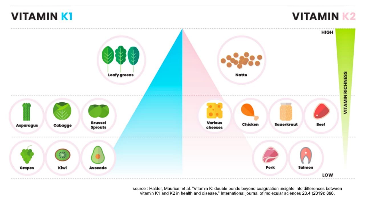 Vitamin K : A necessity in human nutrition